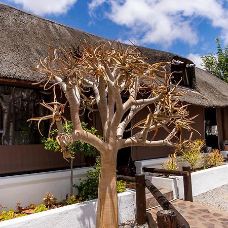 Kleinplasie Guesthouse Springbok Kültér fotó